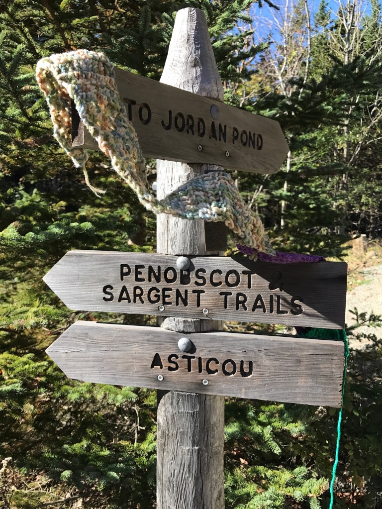 Travels of The Ugly Scarf