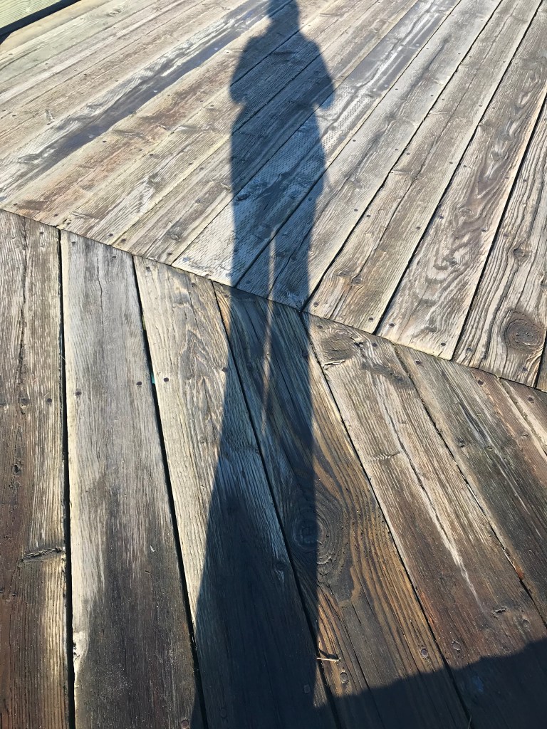 Noon-time shadow, Carillon Point Marina, Krikland, Washington (USA)