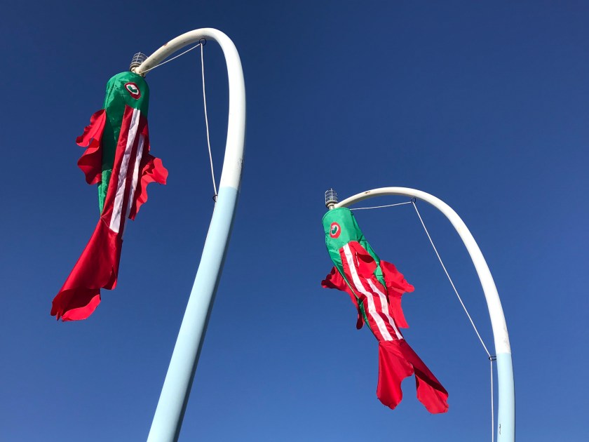 Festive wind socks, Carillon Point, Kirkland, Washington (USA)