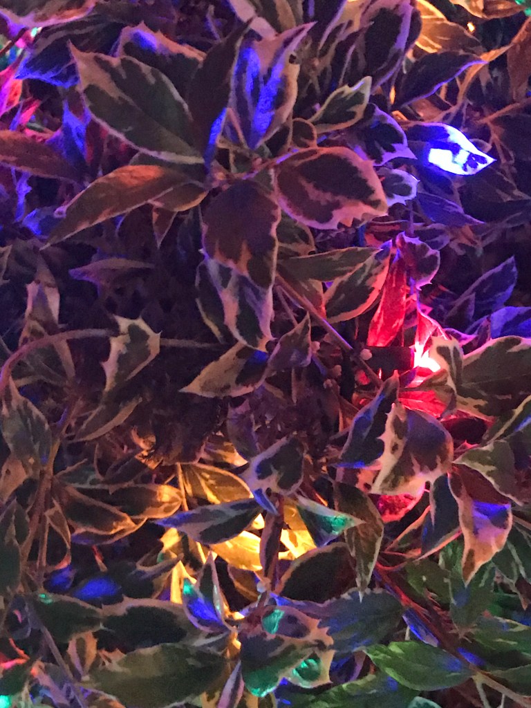 Front yard lights, Lynnwood, Washington (USA)