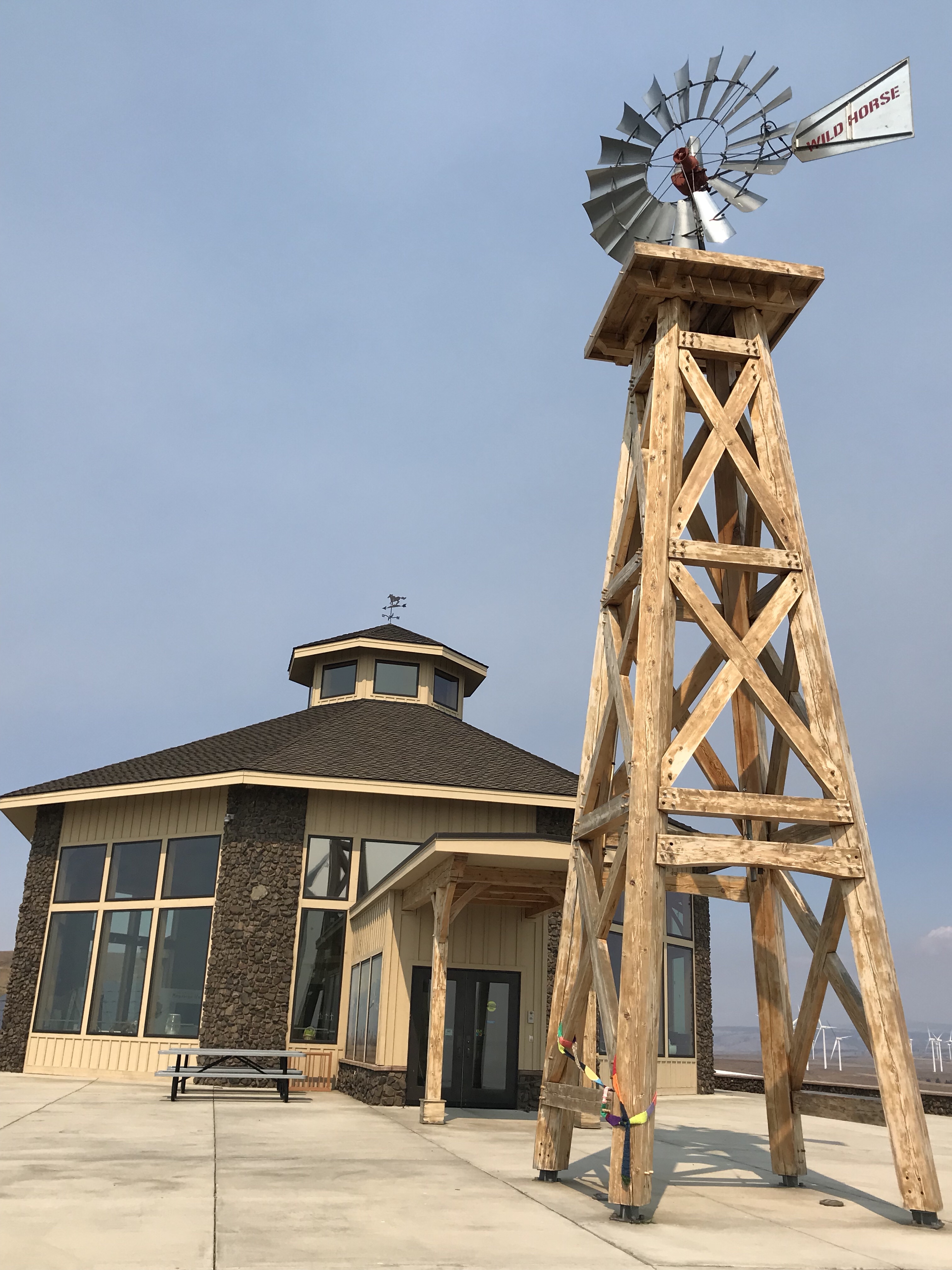 The Ugly Scarf at Wild Horse