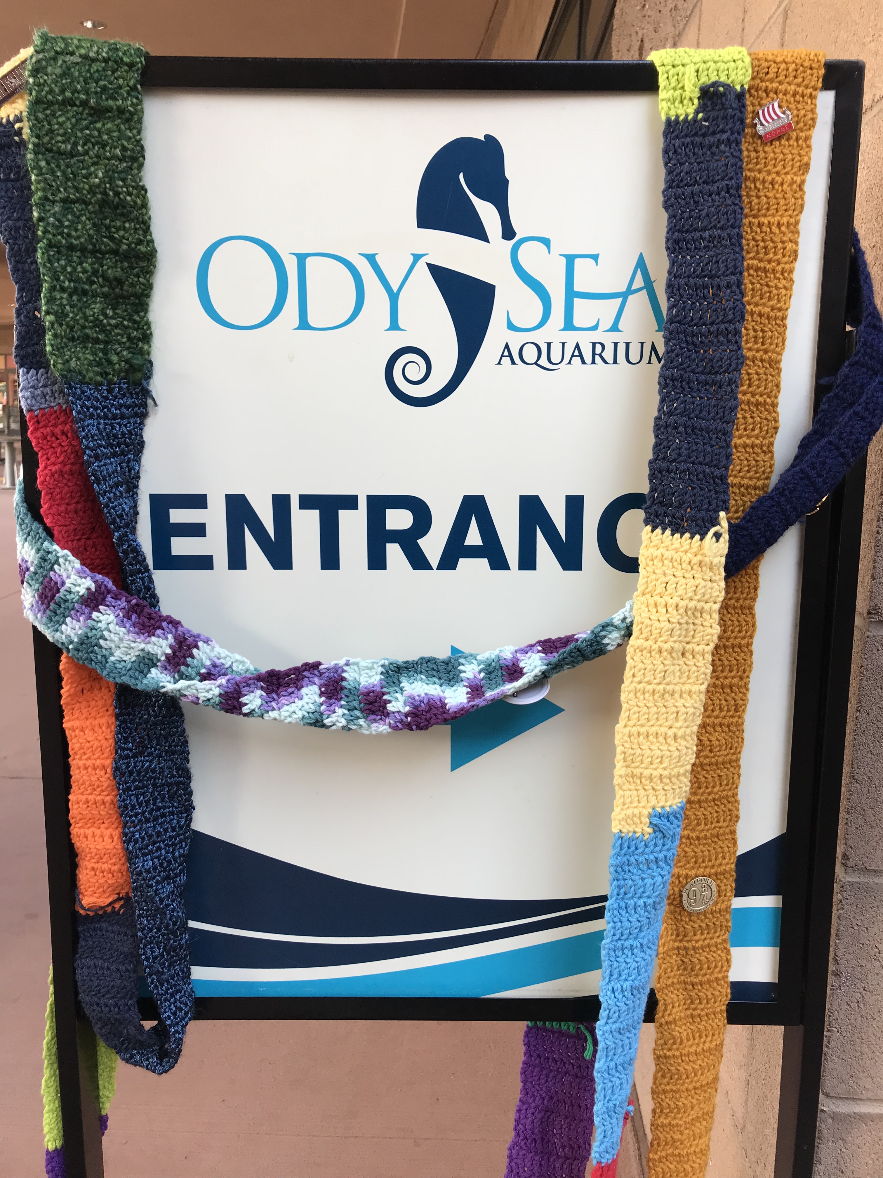 The Ugly Scarf at the OdySea Aquarium